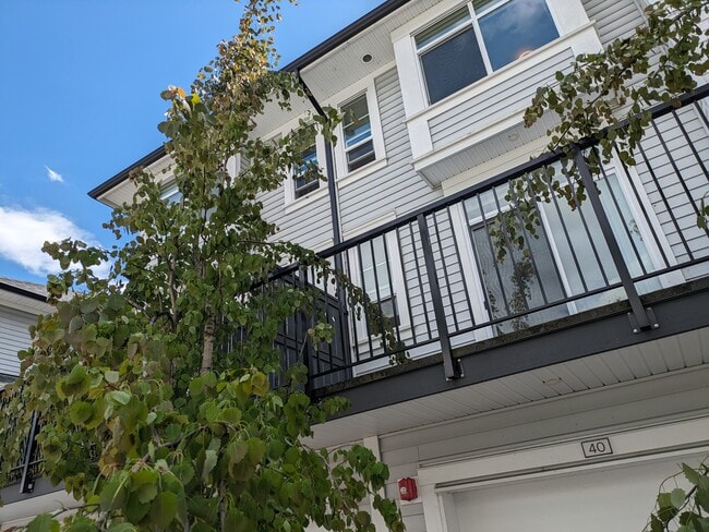 19696 Hammond Rd in Pitt Meadows, BC - Building Photo - Building Photo