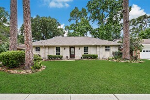 1146 Chamboard Ln in Houston, TX - Building Photo