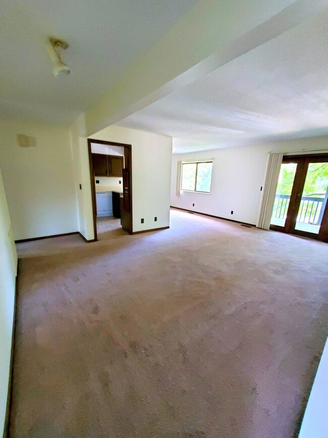 703 S Wall St in Carbondale, IL - Building Photo - Building Photo