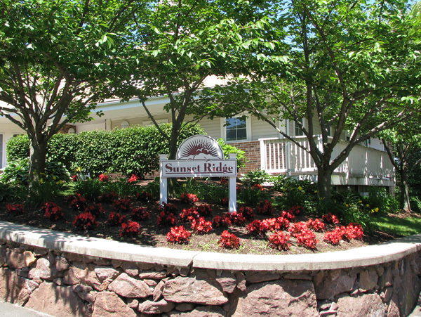 Sunset Ridge Apartments in New Haven, CT - Building Photo