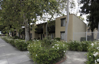 Shady Knoll Apartments