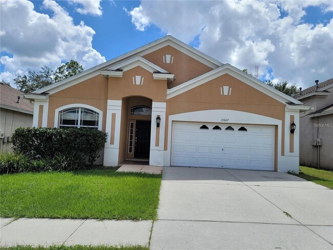 property at 13007 Terrace Springs Dr