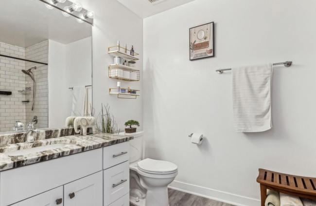 833 W 15th Pl in Chicago, IL - Building Photo - Building Photo