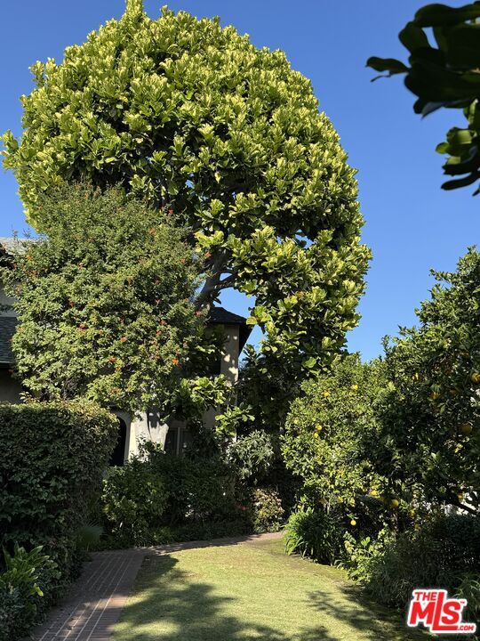 7917 Norton Ave in West Hollywood, CA - Building Photo - Building Photo