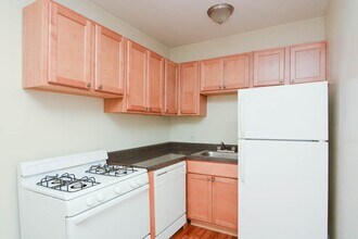1350 N Dearborn St in Chicago, IL - Building Photo - Building Photo