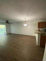 4211 Winding River Way, Unit 3 in Land O Lakes, FL - Building Photo - Building Photo