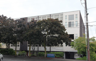 Marlene Renee Apartments