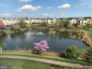 5325 Cupids Dart Dr in Centreville, VA - Building Photo - Building Photo