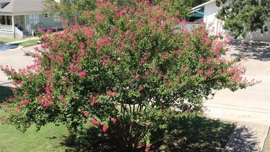 301 E 34th St in Austin, TX - Building Photo - Building Photo