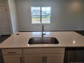 163 S Finley Lndg Pkwy in Smithfield, NC - Building Photo - Building Photo
