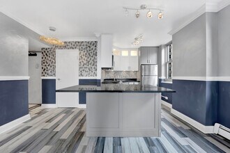 253 E Delaware Pl in Chicago, IL - Foto de edificio - Building Photo