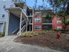 3446 St Bart Ln in Tampa, FL - Building Photo