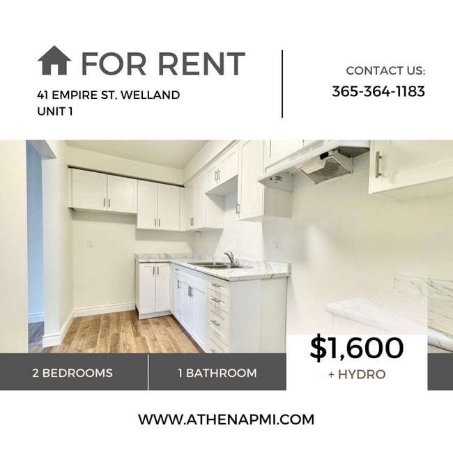 property at 41 Empire St