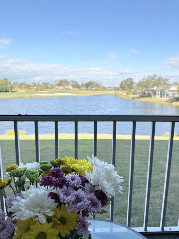 property at 9300 Clubside Cir