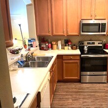 14056 Ocean Pine Cir in Orlando, FL - Building Photo - Building Photo