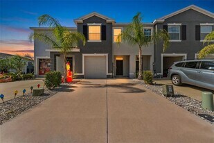 2893 Suncoast Plains Dr in Odessa, FL - Building Photo