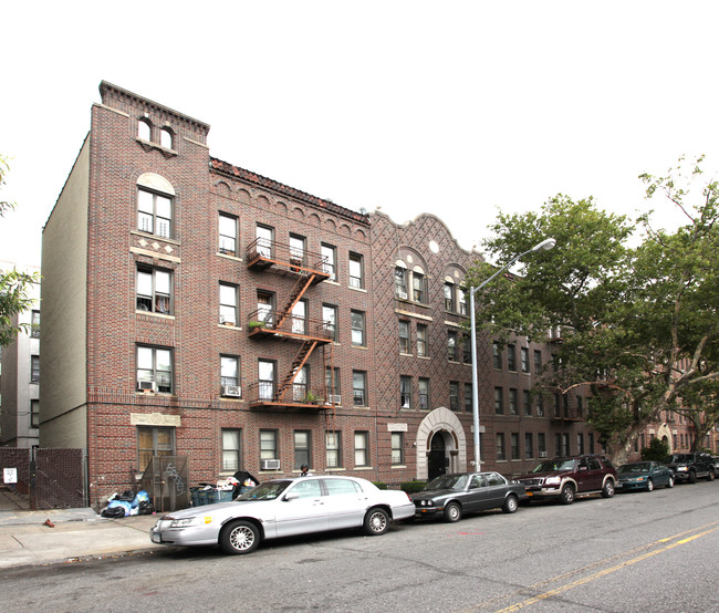 335 Lefferts Ave in Brooklyn, NY - Foto de edificio - Building Photo