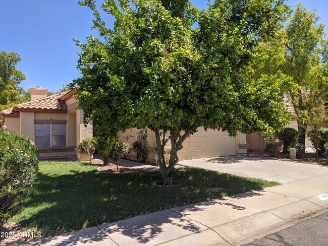 1321 N Jamaica Way in Gilbert, AZ - Building Photo - Building Photo