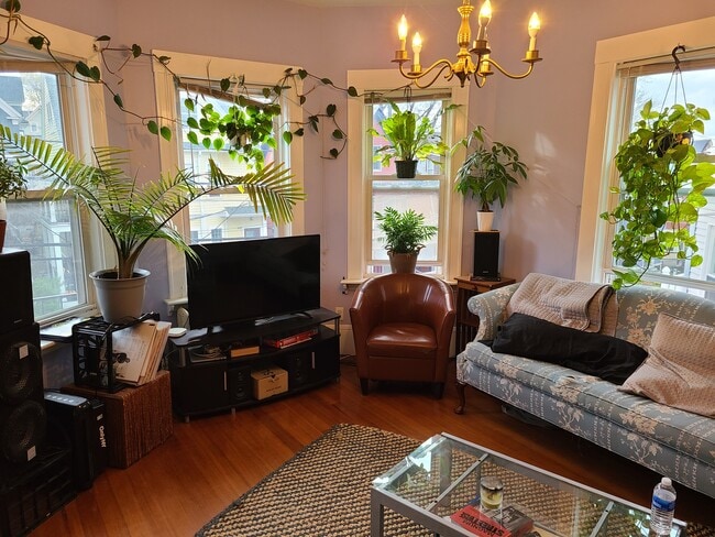 95 Belmont St, Unit 2 in Somerville, MA - Foto de edificio - Building Photo