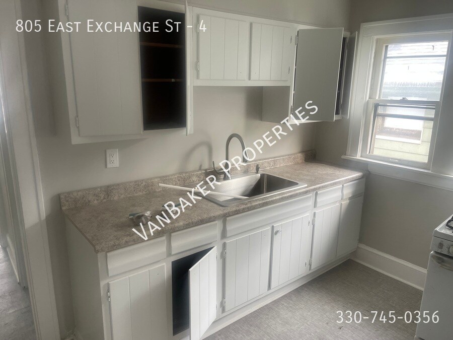 805 E Exchange St in Akron, OH - Building Photo