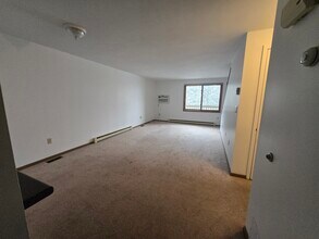 33 4th Ave in Oswego, NY - Building Photo - Building Photo