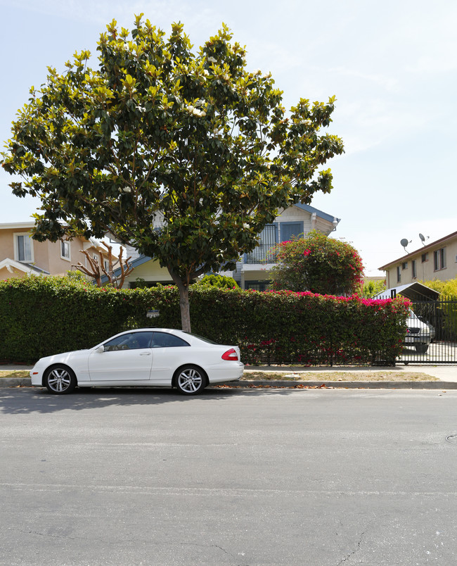 844 S St Andrews Pl in Los Angeles, CA - Building Photo - Building Photo