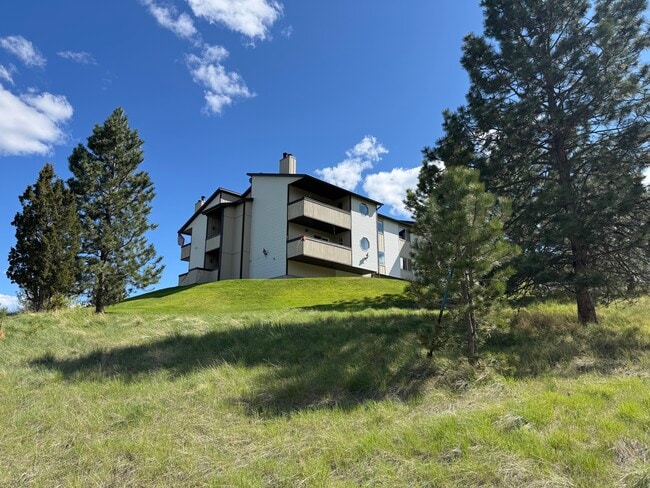 property at 2214 Alpine Dr