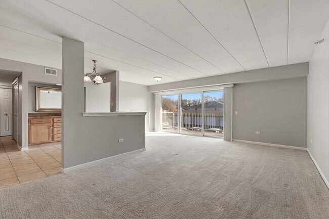 1053 Ashley Ct N in Lockport, IL - Building Photo - Building Photo