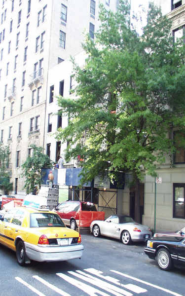 629 Park Ave in New York, NY - Building Photo