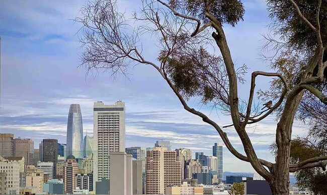 818 Van Ness Ave, Unit 804 in San Francisco, CA - Building Photo - Building Photo