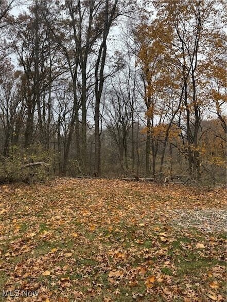 4250 S Main St in Akron, OH - Building Photo - Building Photo