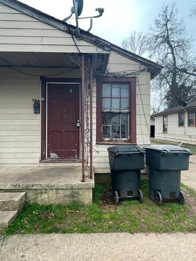property at 704 Carrollton St