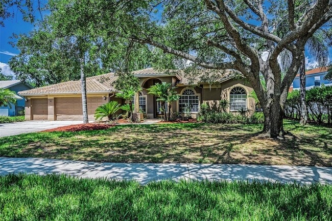 1516 E Lake Woodlands Pkwy in Oldsmar, FL - Building Photo - Building Photo