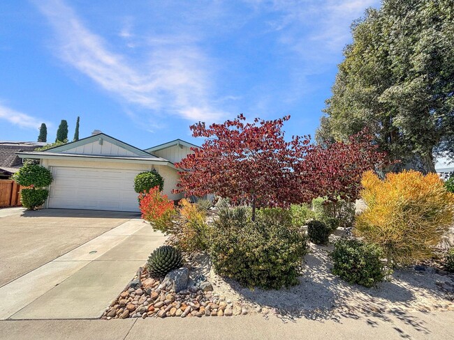 6828 Deep Valley Rd in San Diego, CA - Building Photo - Building Photo