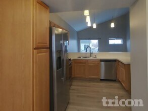 1609 Heritage Pointe Ct in Plainfield, IL - Foto de edificio - Building Photo