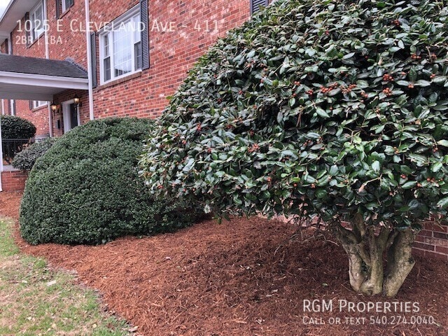 1025 E Cleveland Ave in Vinton, VA - Building Photo - Building Photo