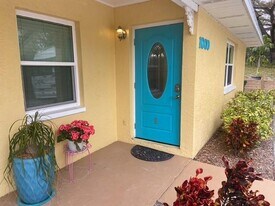 1009 Sumner Blvd in Safety Harbor, FL - Building Photo