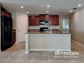 10923 Rainbow Pyrite Dr in Wimauma, FL - Building Photo - Building Photo