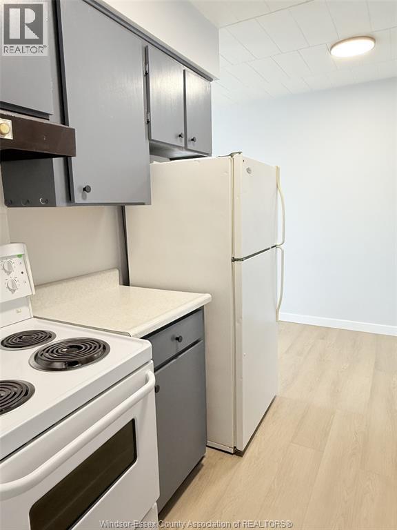 591 Wellington Ave in Windsor, ON - Foto de edificio - Building Photo