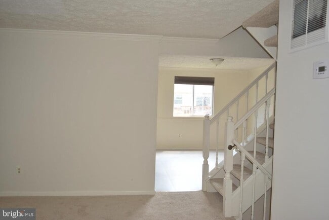 3855 Sunny Brook Ct in Woodbridge, VA - Foto de edificio - Building Photo