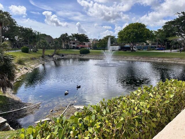 property at 7519 La Paz Blvd