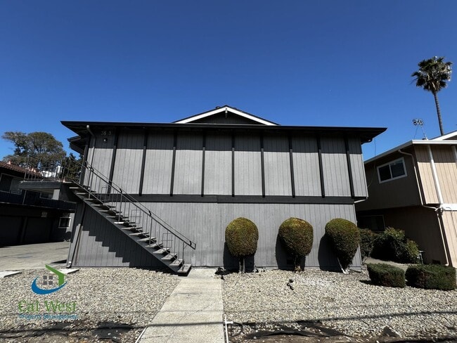3843 Williams Rd in San Jose, CA - Building Photo - Building Photo