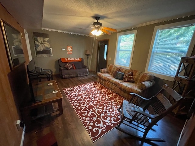 1921 Shiloh Rd in Seneca, SC - Building Photo - Building Photo