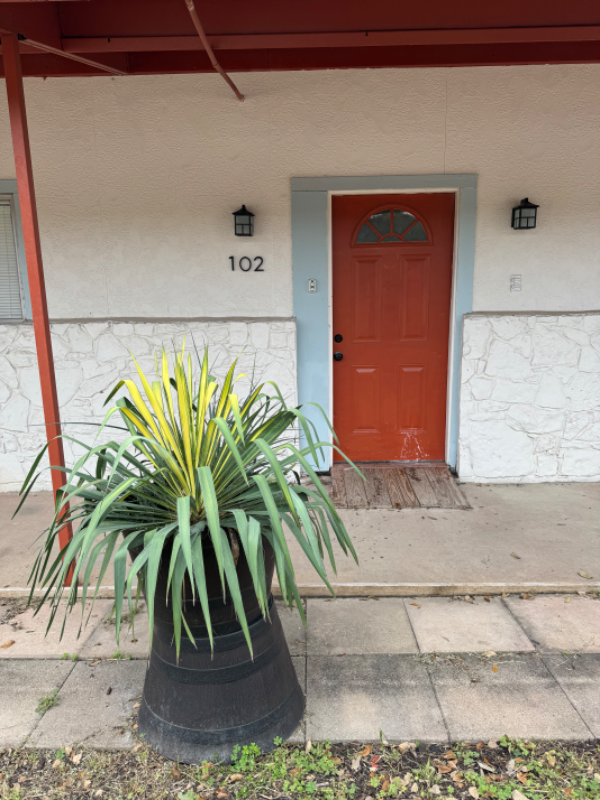 property at 20045 FM306