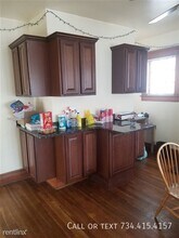 536 Walnut St in Ann Arbor, MI - Building Photo - Building Photo