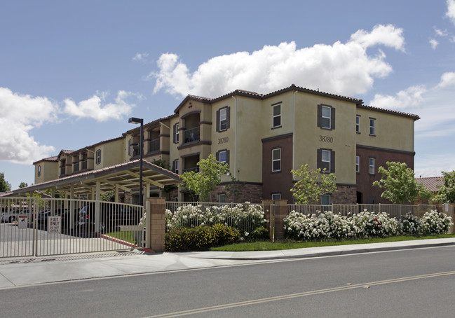 Desert Senior Living in Palmdale, CA - Building Photo - Building Photo