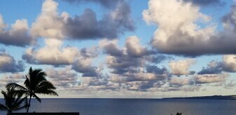 1367 Kakae Pl in Wailuku, HI - Building Photo