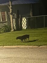 135 Persimmon St in Thomasville, GA - Building Photo