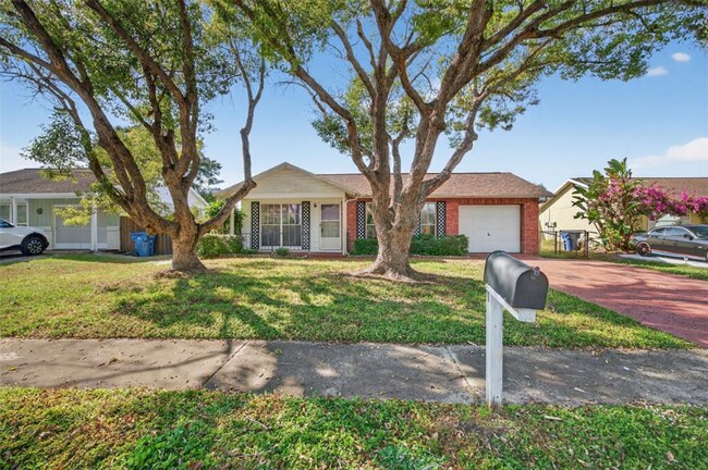 3123 Lodi Dr in New Port Richey, FL - Building Photo - Building Photo