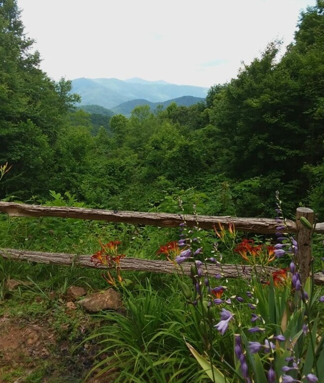 property at 1299 Too Sweet Rd